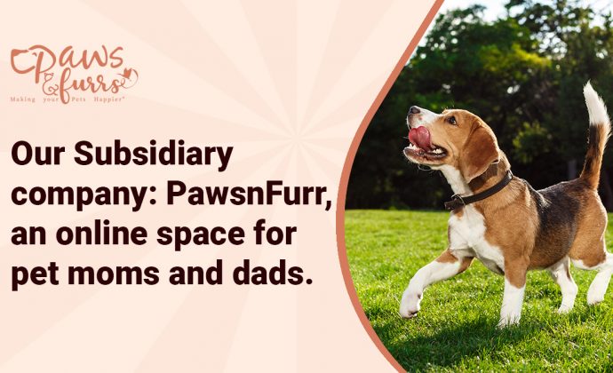 Our Subsidiary company: PawsnFurr, an Online Space for Pet Moms and Dads