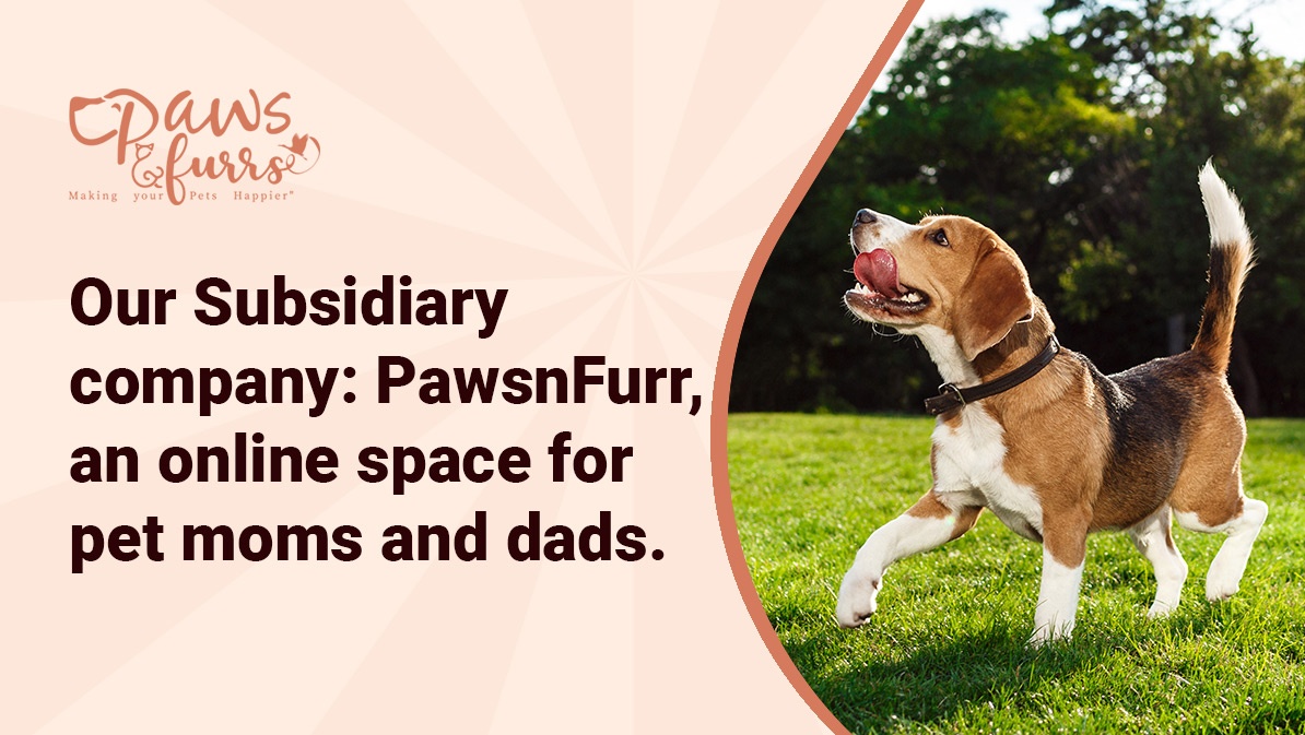 Our Subsidiary company: PawsnFurr, an Online Space for Pet Moms and Dads