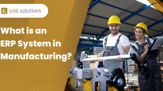 What is an ERP System in Manufacturing?